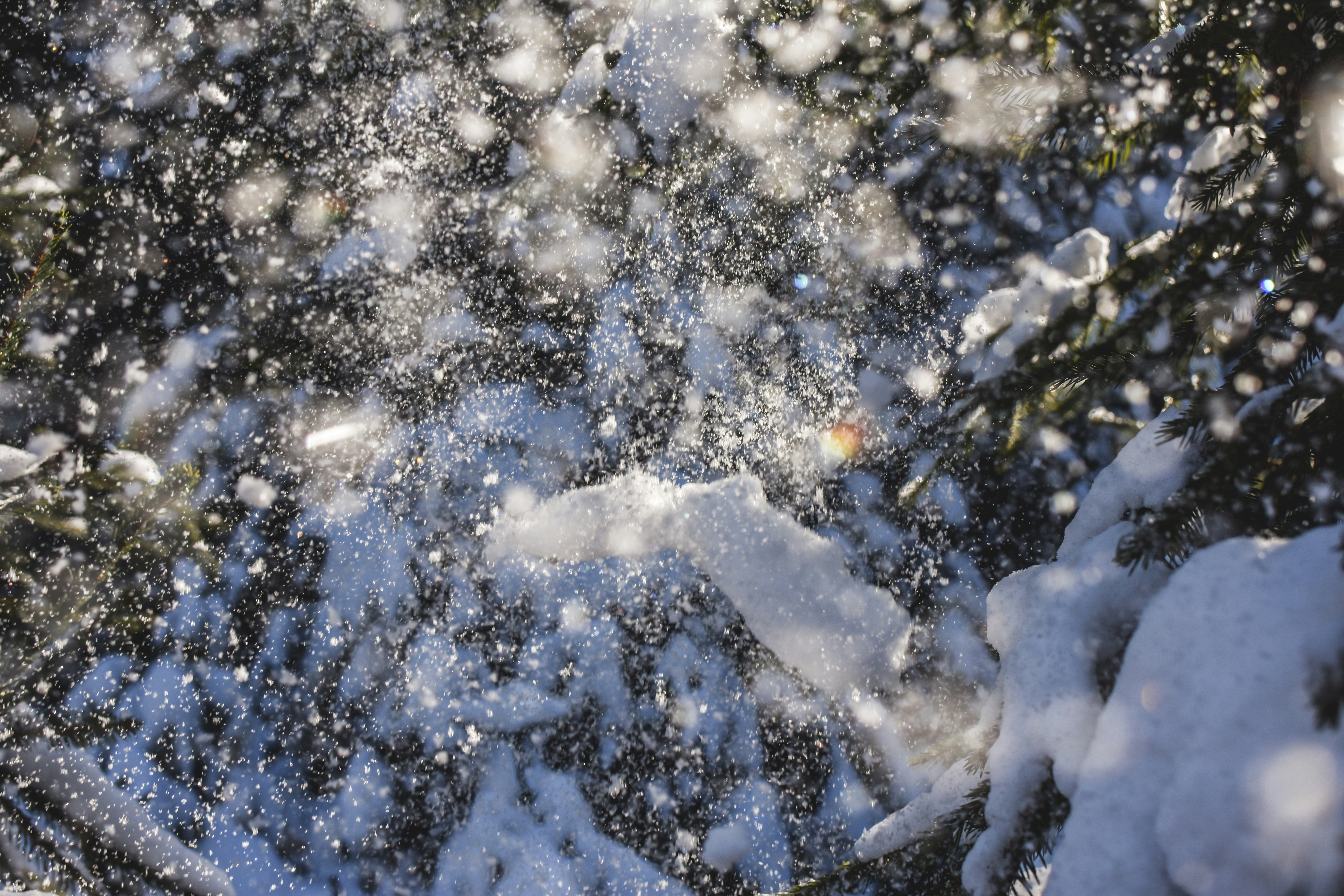 Photo by beckyb0o0o0