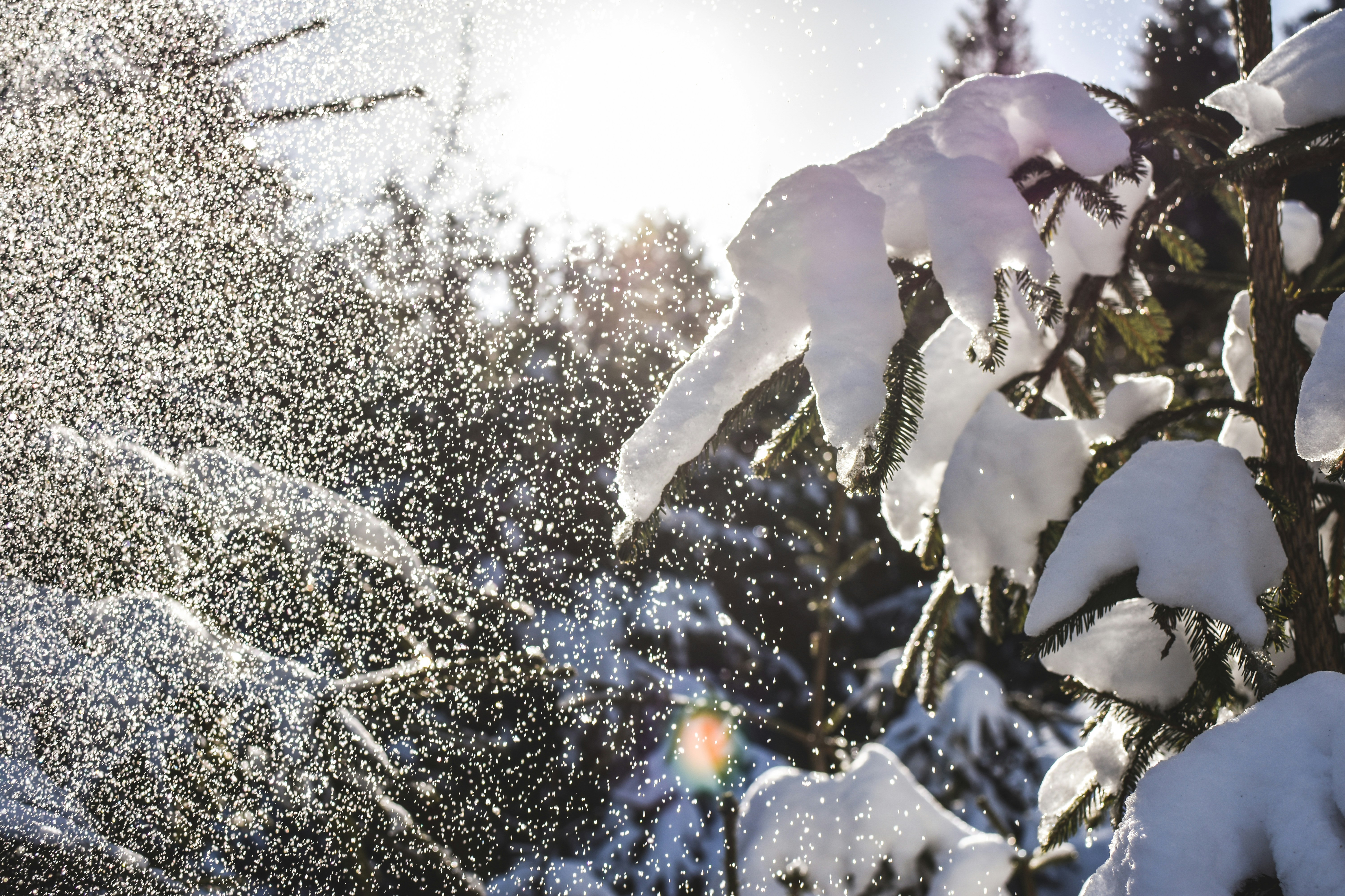 Photo by beckyb0o0o0