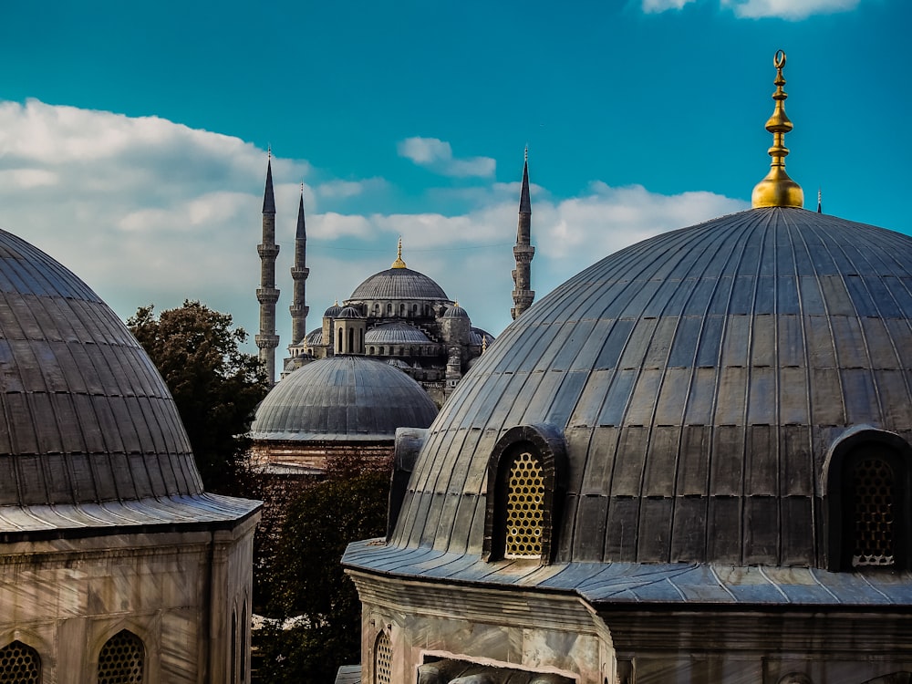 gray and white dome building