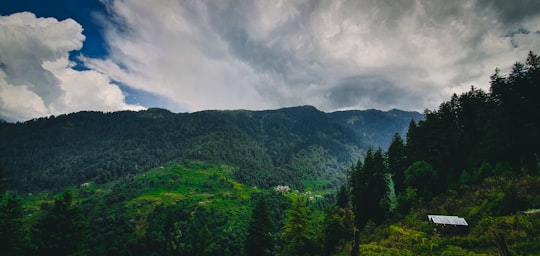 green trees on mountain under cloudy sky during daytime in Kullu India