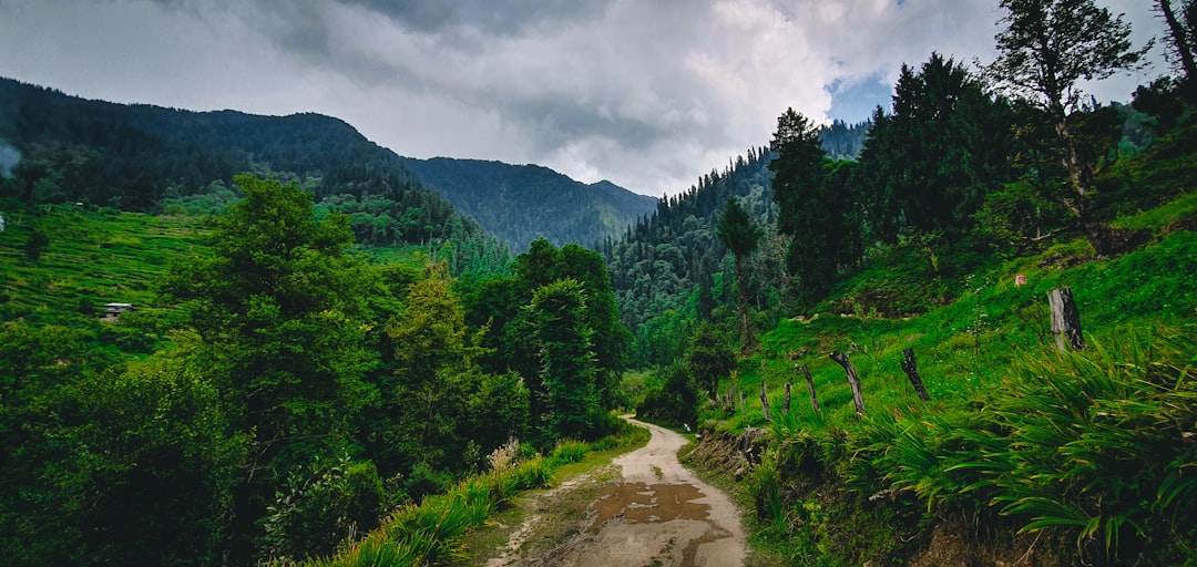 Hill station photo spot Kullu Bhuntar