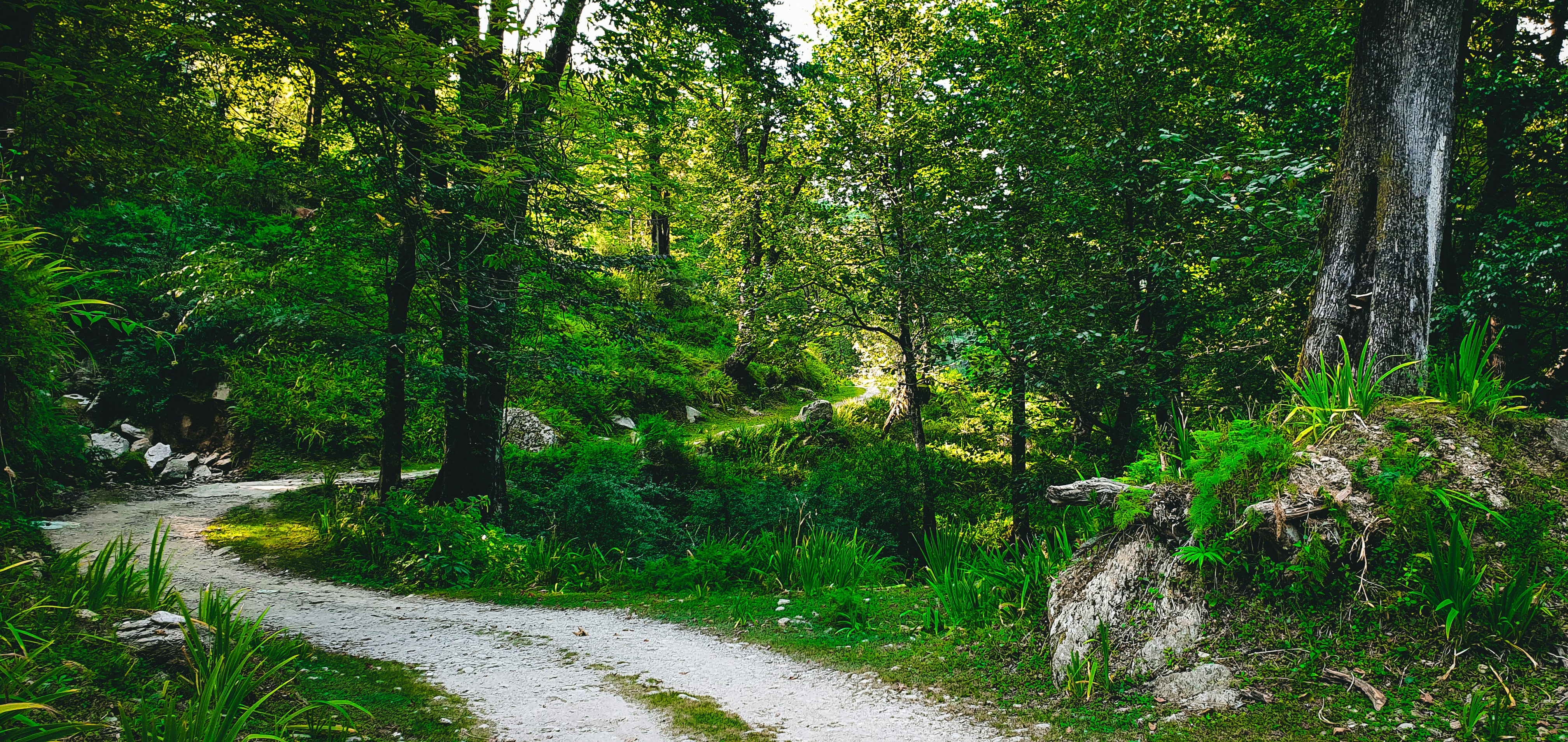 Photo by highwaypatrol_x