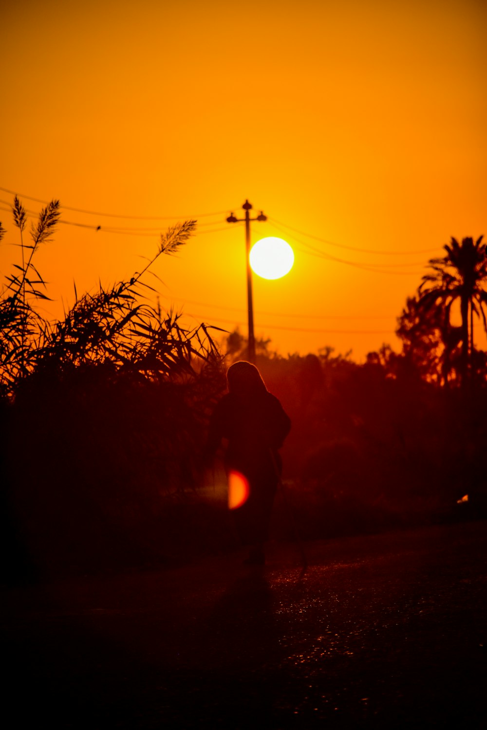 silhouette of person standing near street light during sunset