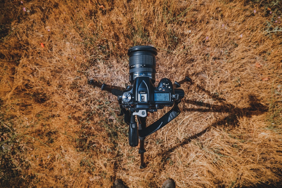 black dslr camera on brown dried grass