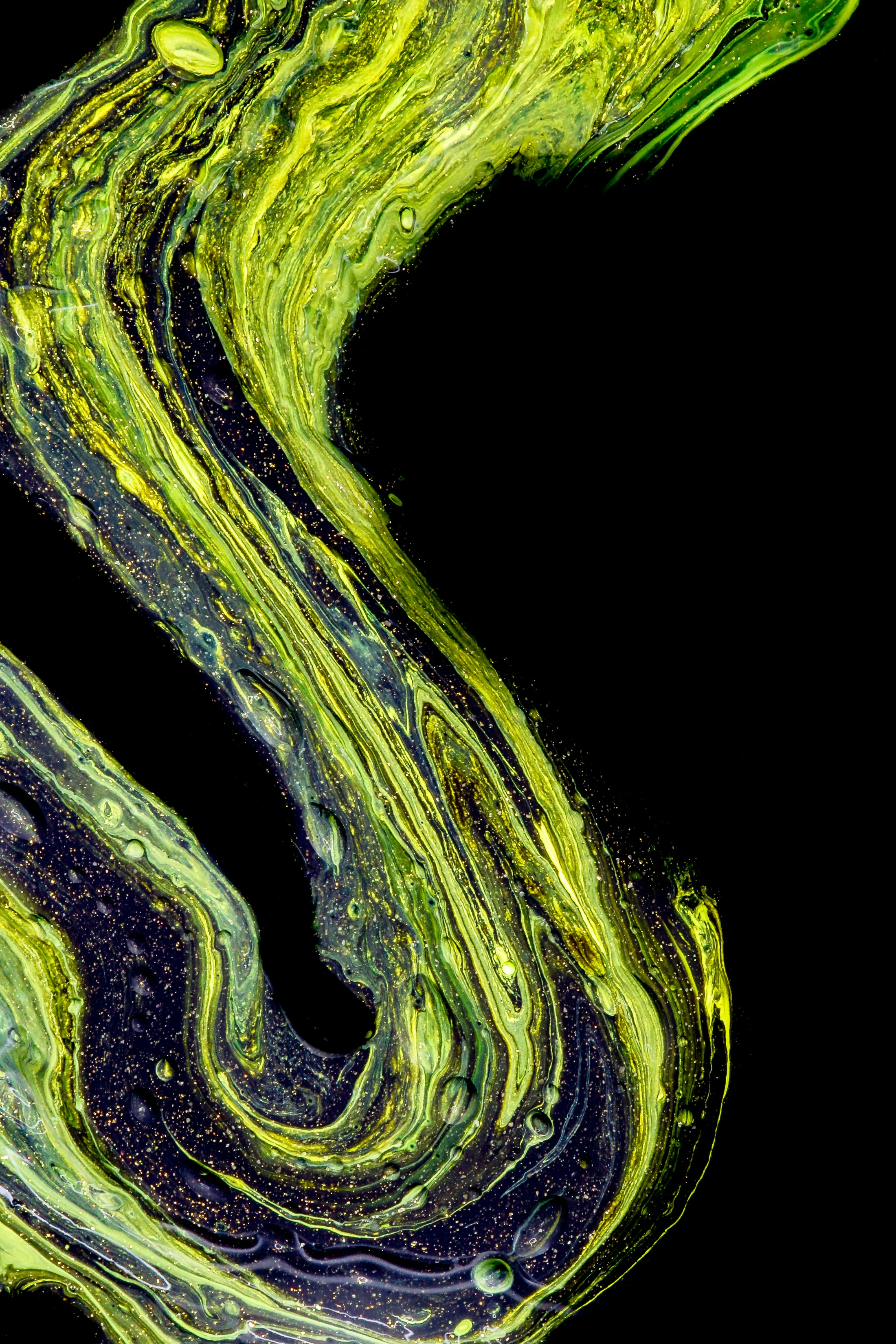 Photo by solenfeyissa