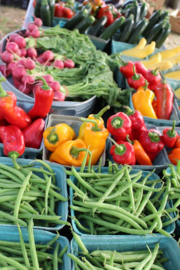 Fresh vegetables neatly arranged in a basket with vibrant green leaves.