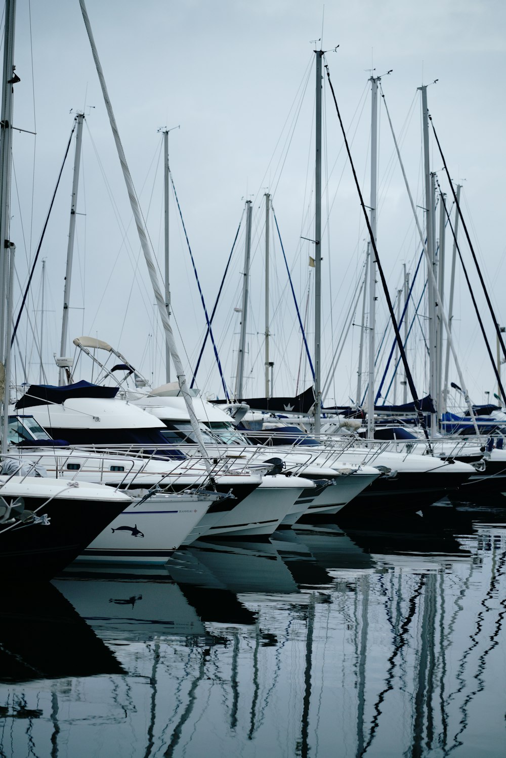 white and blue boats on dock during daytime