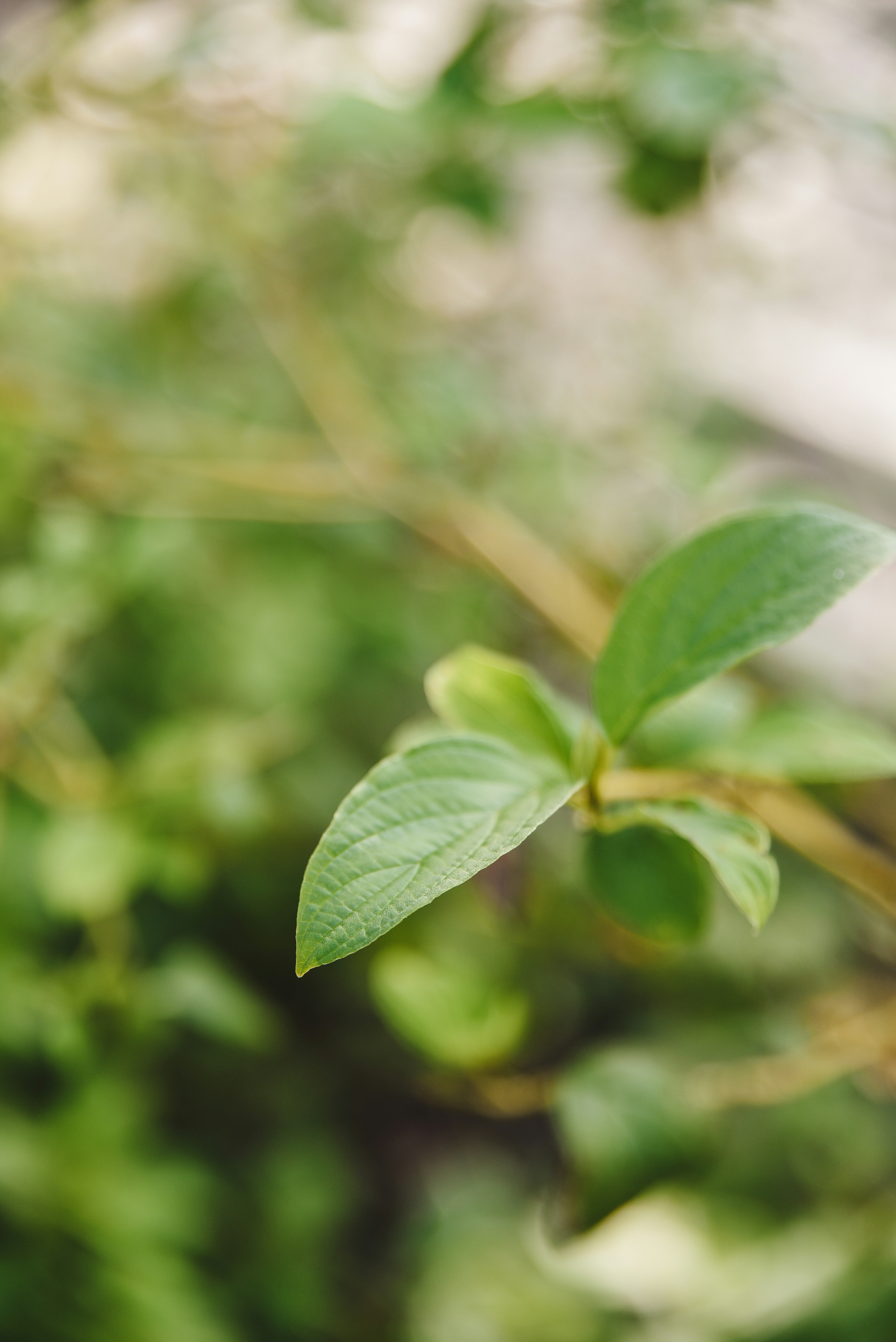 Photo by joyshotsphotography