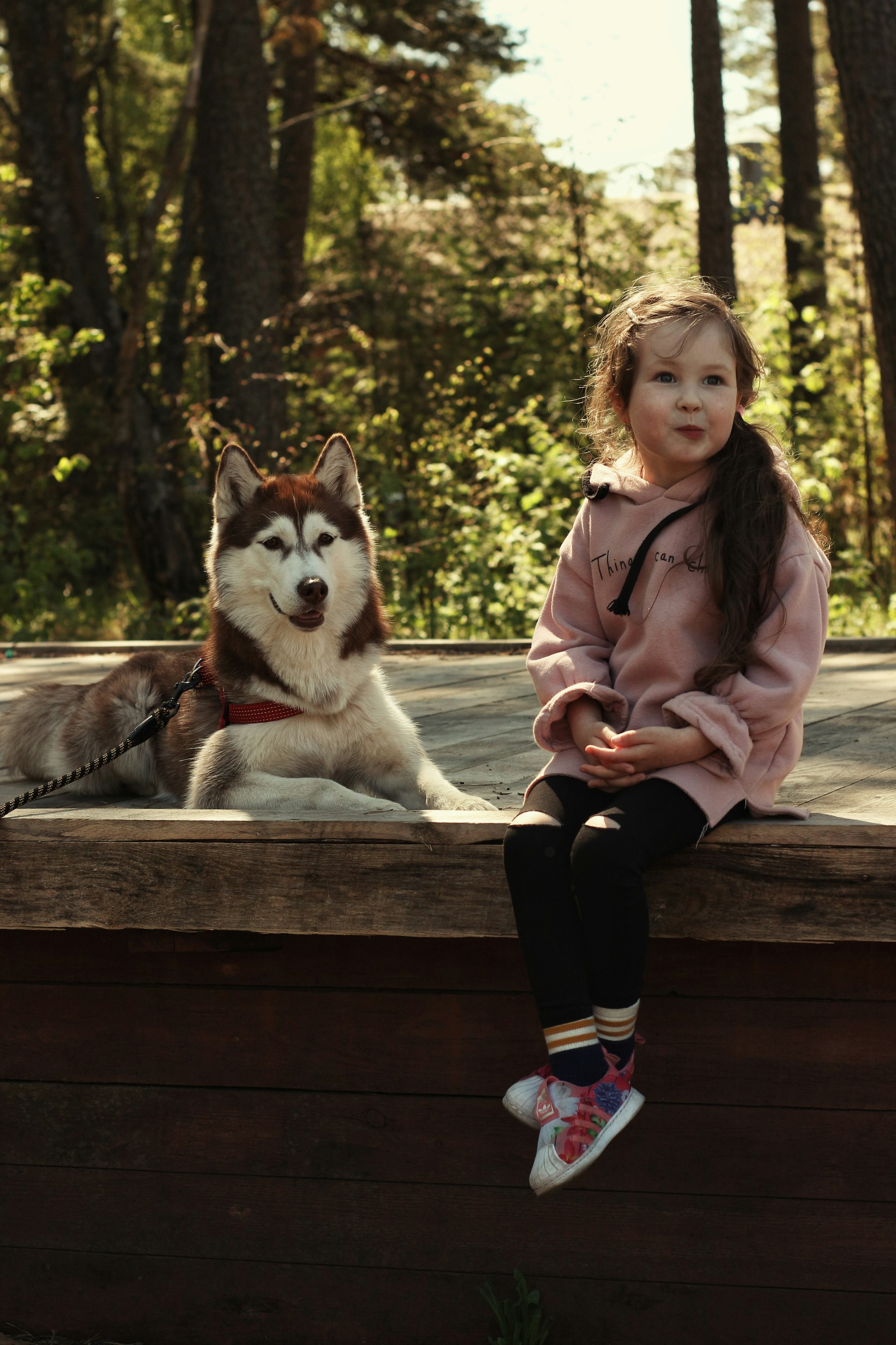 woman in pink jacket sitting on brown wooden bench beside white and black siberian husky puppy