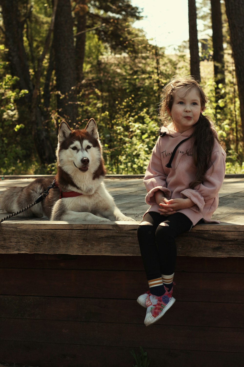 분홍색 재킷을 입은 여자는 흰색과 검은색 시베리안 허스키 강아지 옆에 갈색 나무 벤치에 앉아 있다