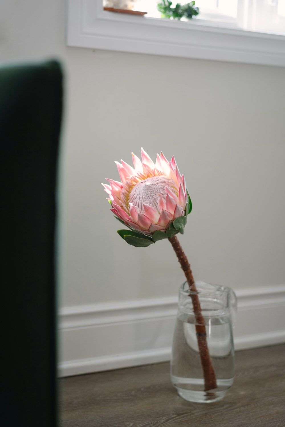pink and white flower in clear glass vase