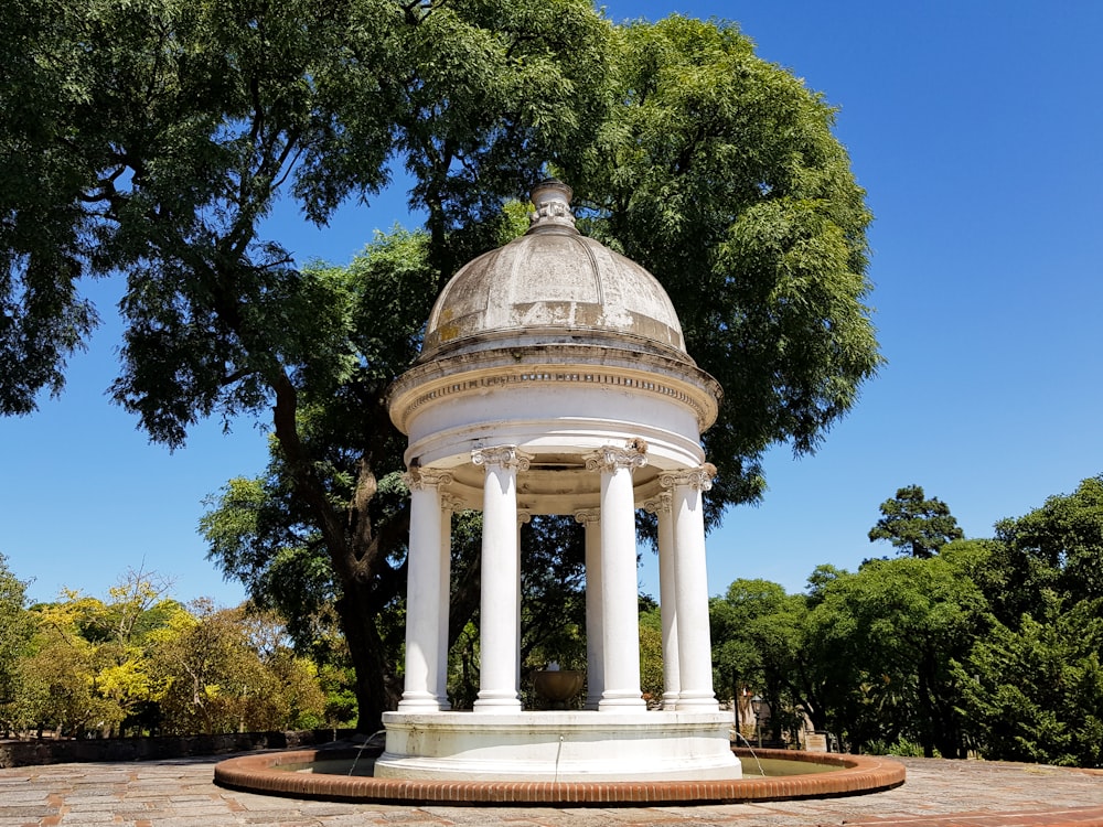 Statua di cemento bianco vicino agli alberi verdi durante il giorno