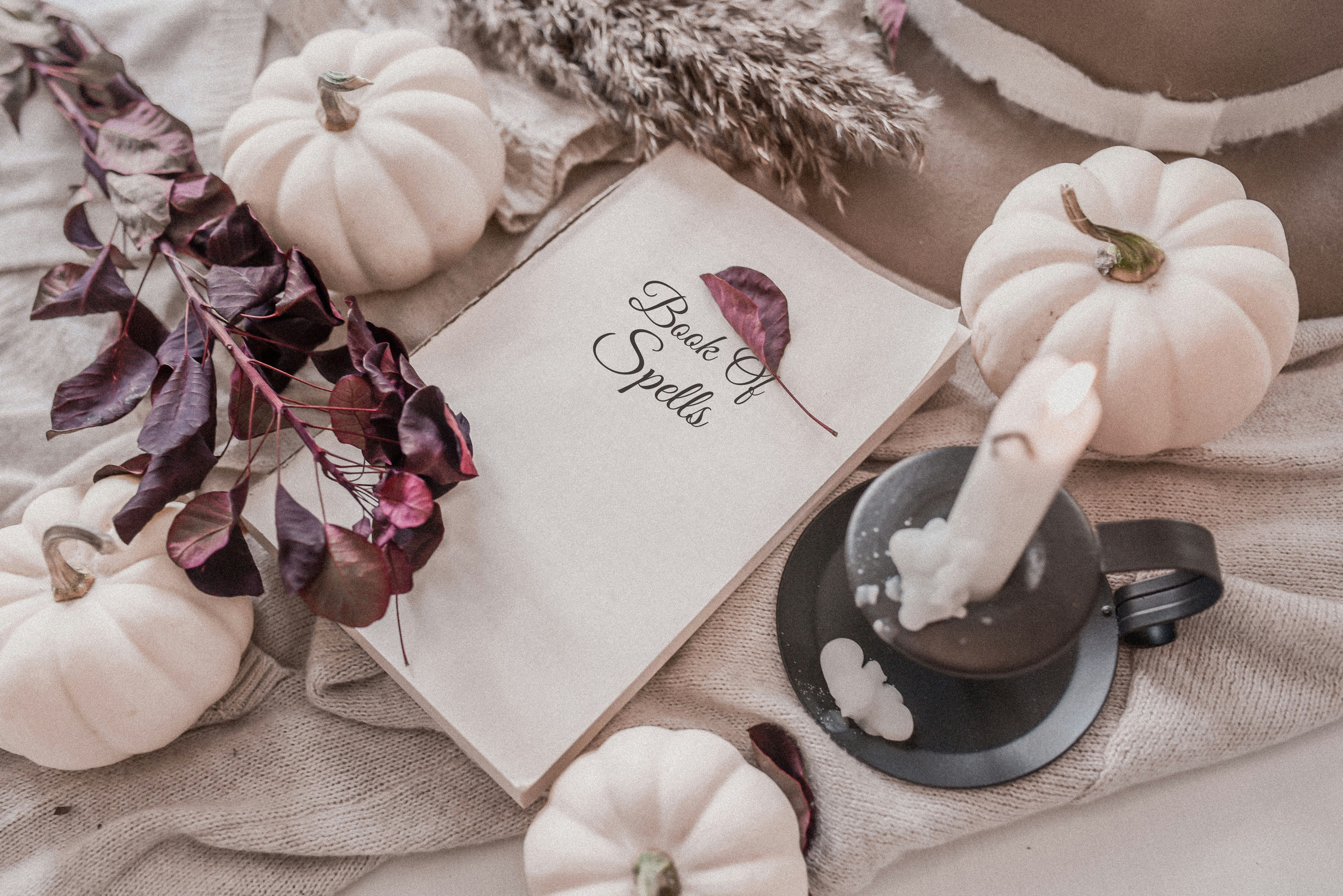 白と茶色の花のテキスタイルに白とピンクのバラの花びらの写真 Unsplashで見つける魔女の無料写真