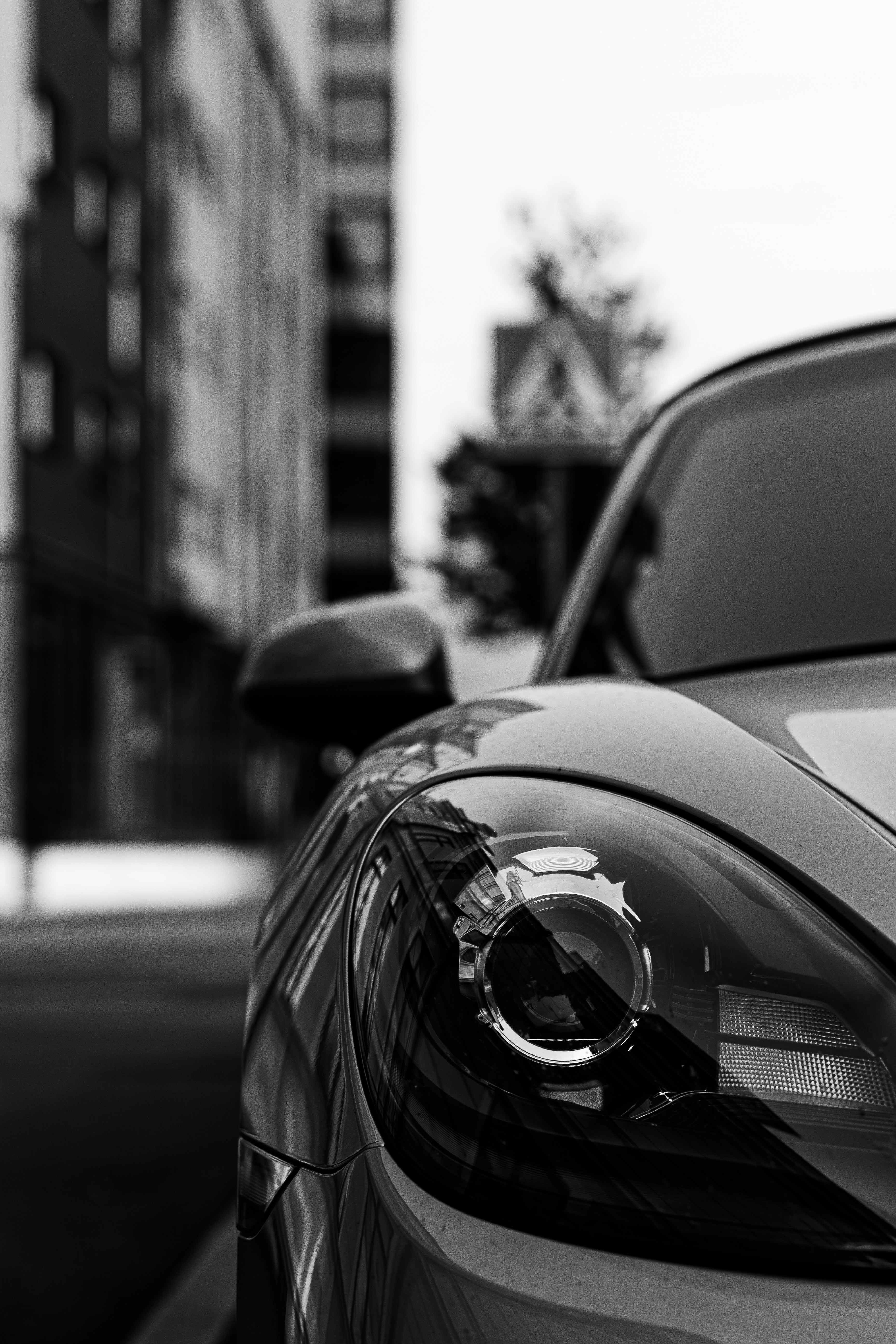 Photo by claoudtrees