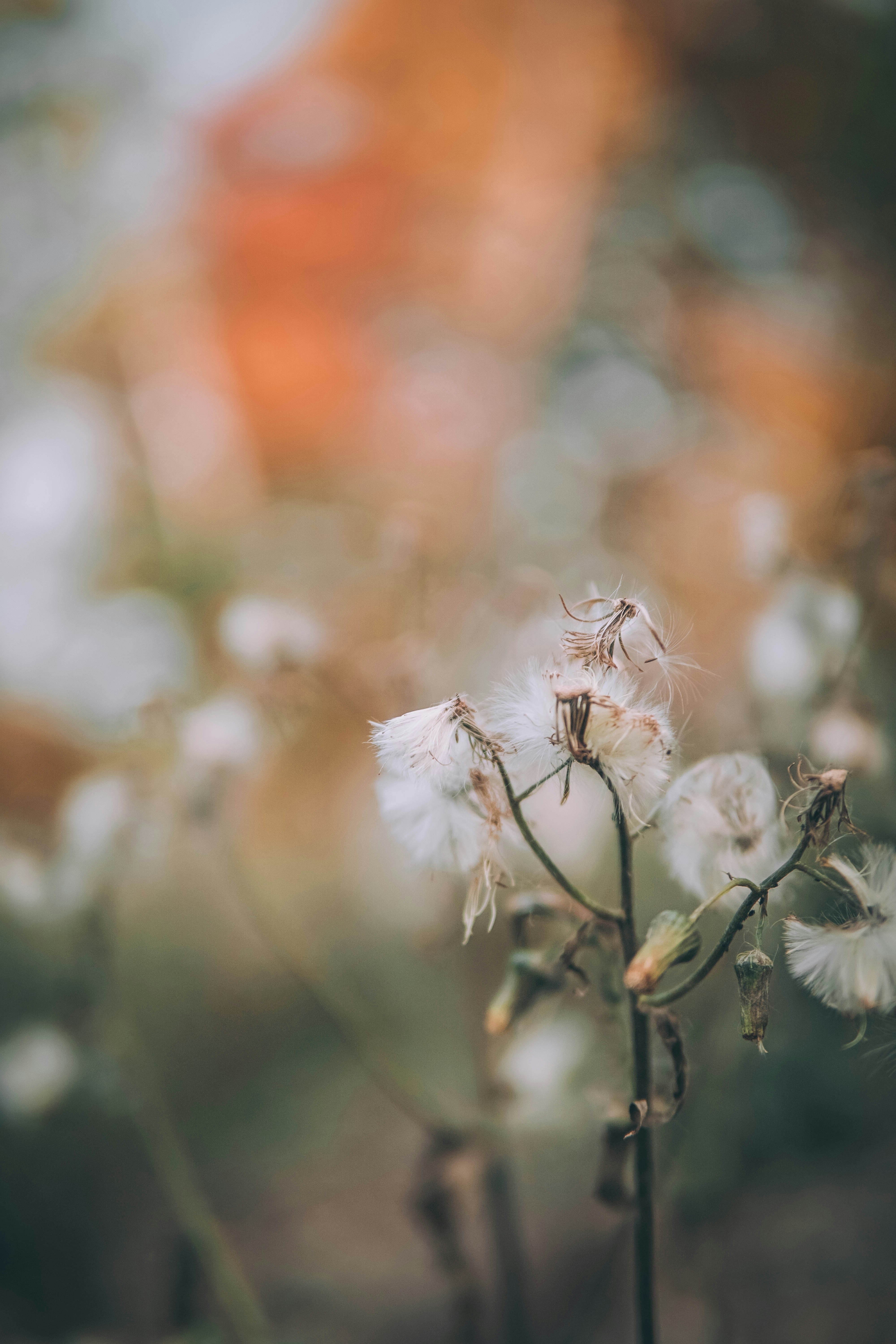 Photo by directedbyshawn