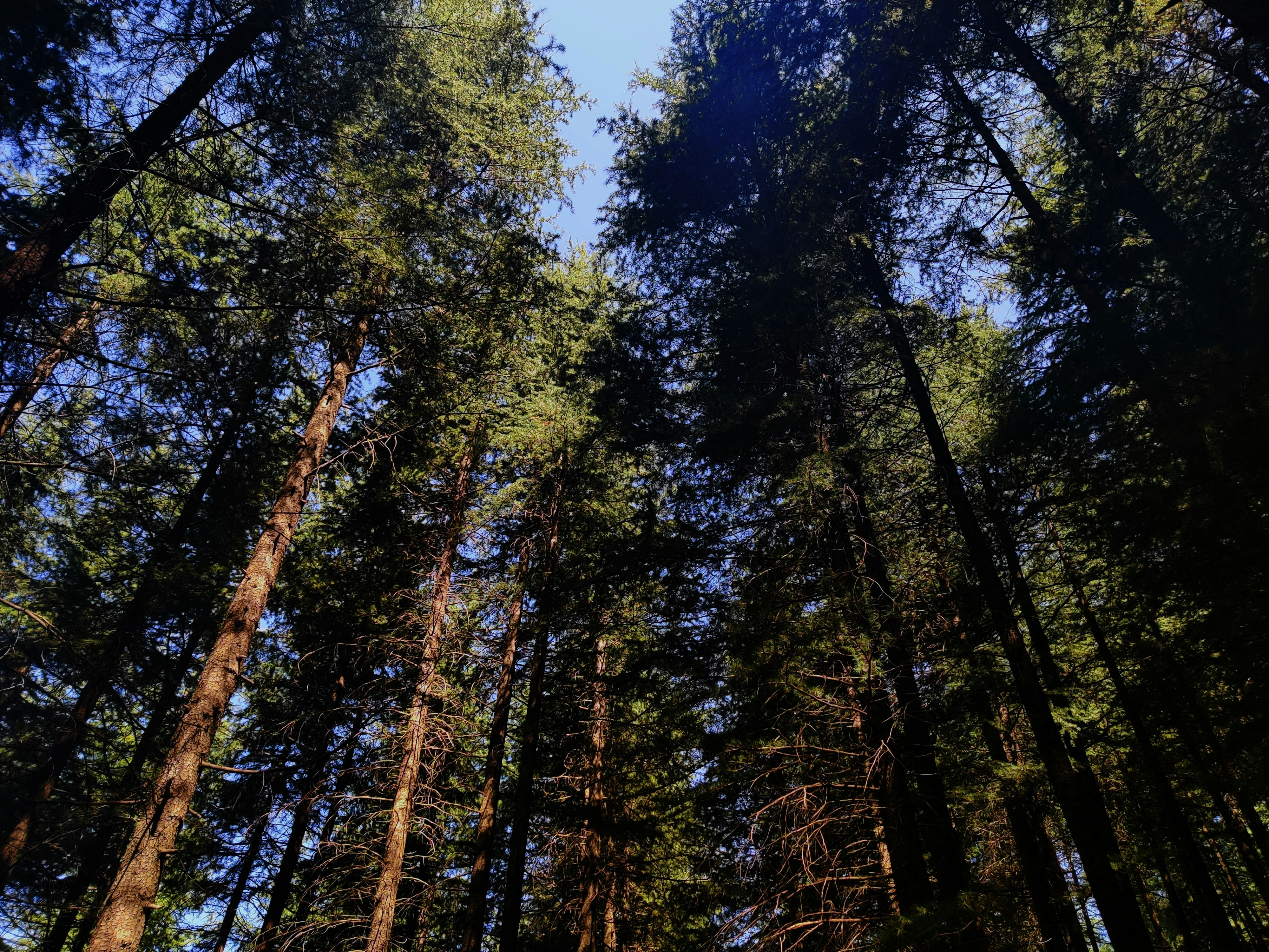 Photo by gazalkharbanda