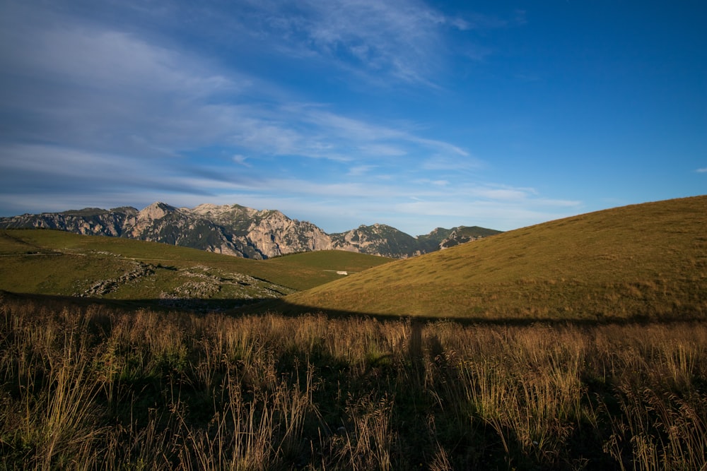 green grass field near mountain under blue sky during daytime