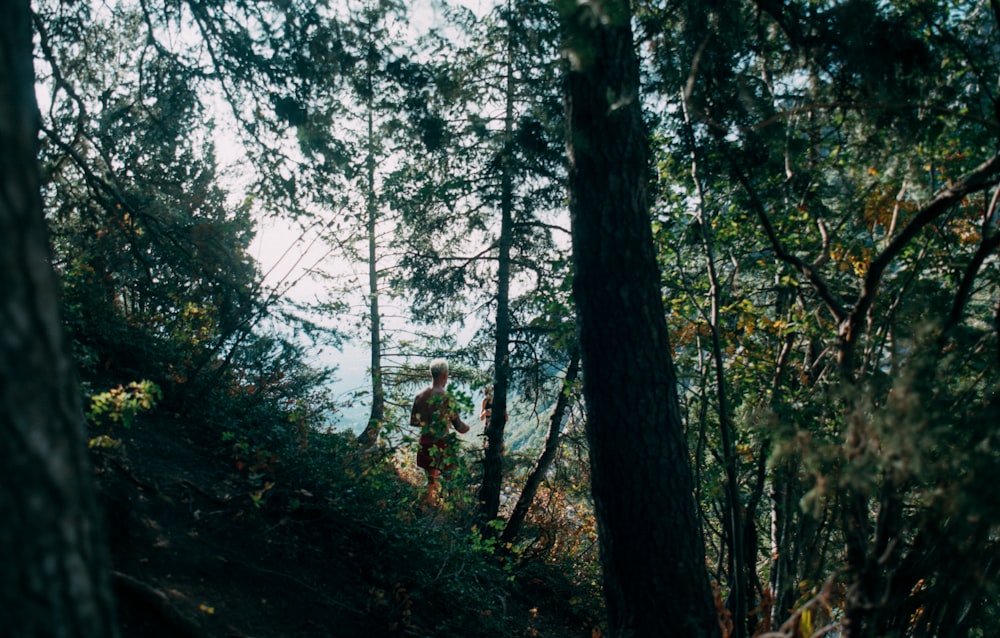 person in white shirt standing on forest during daytime