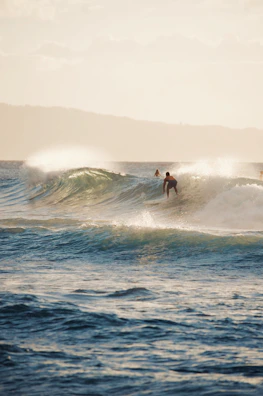 A surfer catching a wave at sunset with volcanic cliffs in the background.