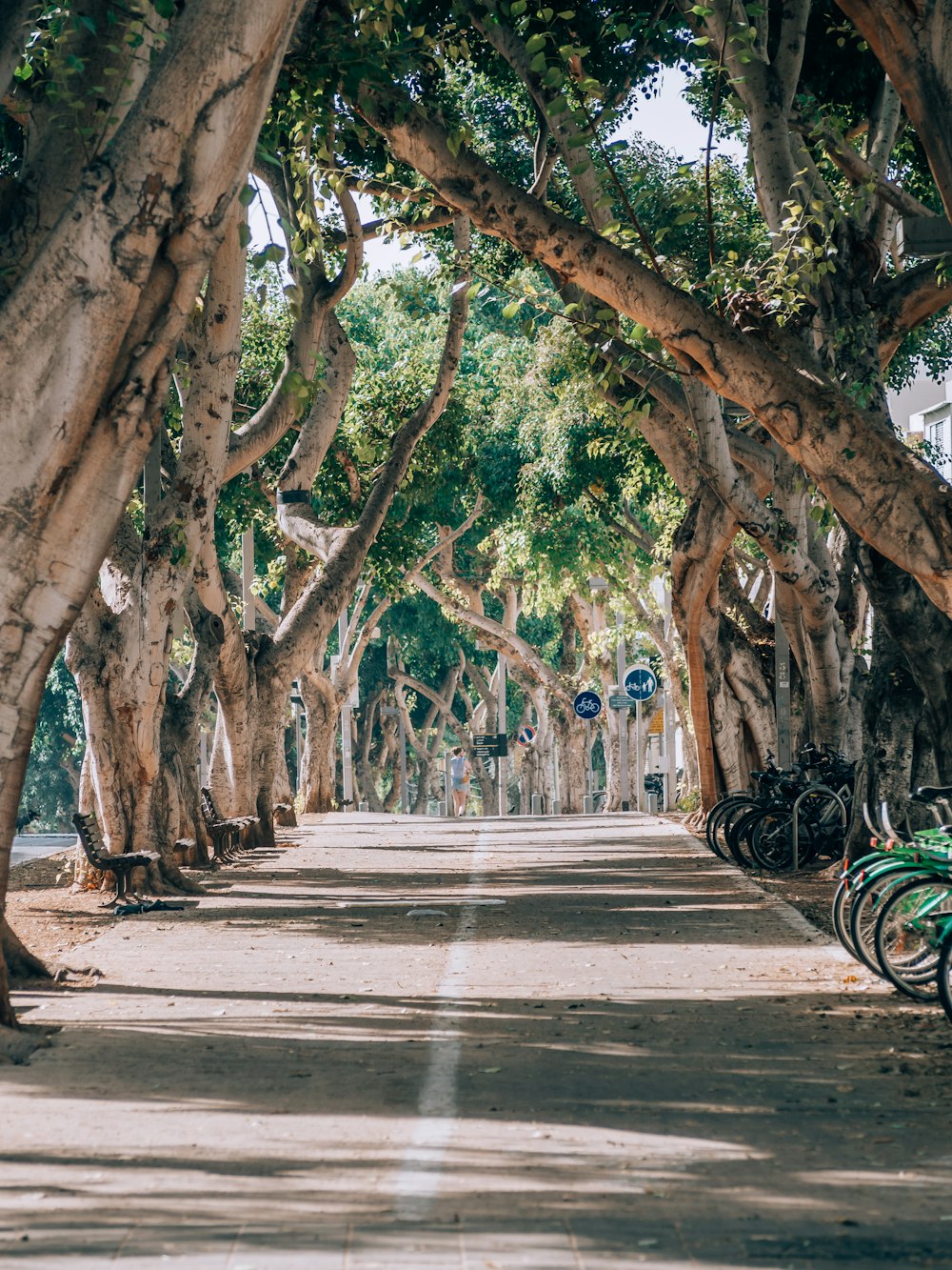 people walking on sidewalk during daytime