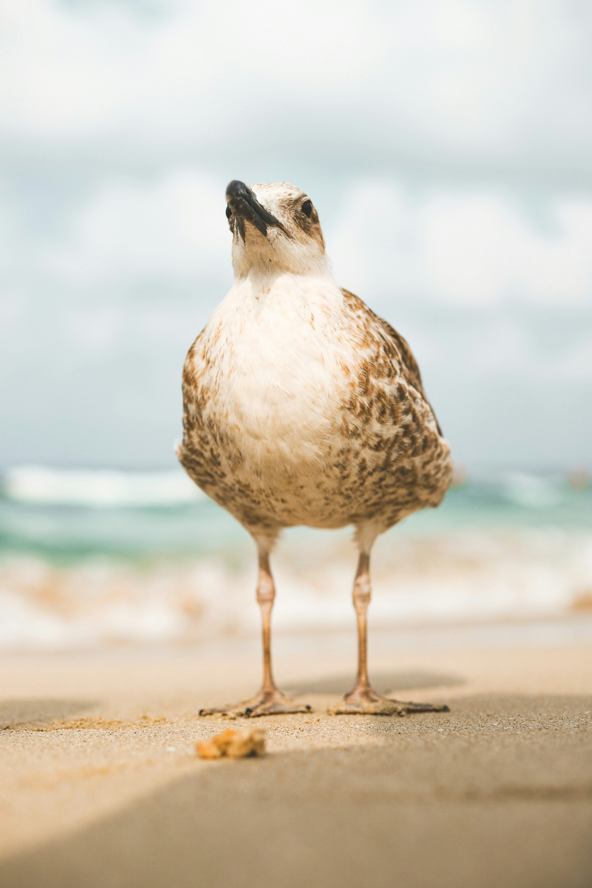 Photo by adamneumann