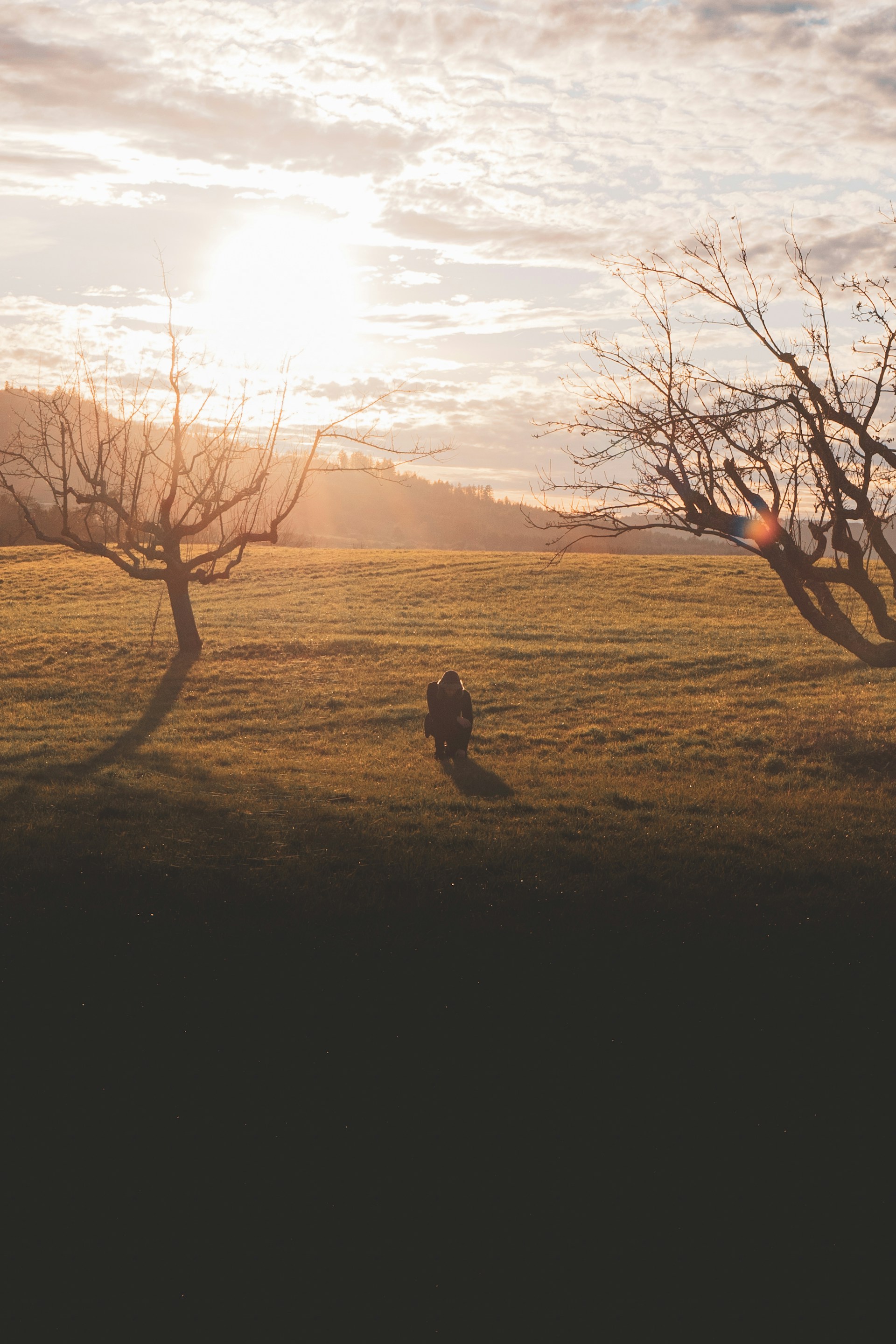 silhouette of man and woman sitting on ground during sunset