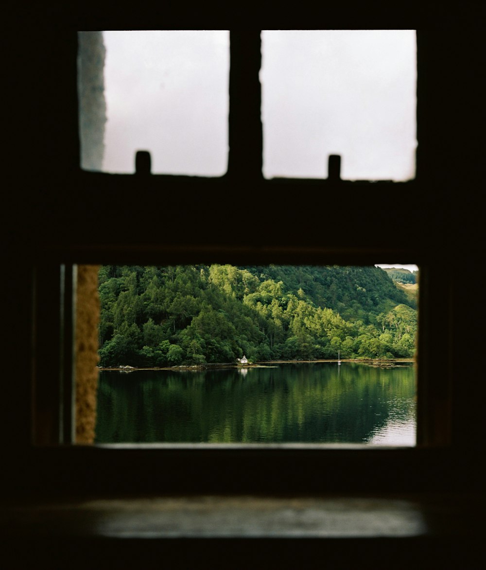 green trees beside lake during daytime