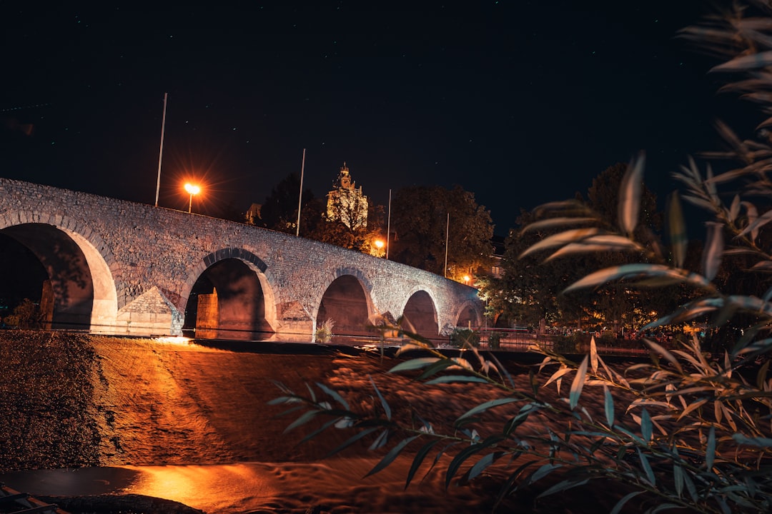 brown concrete bridge during night time