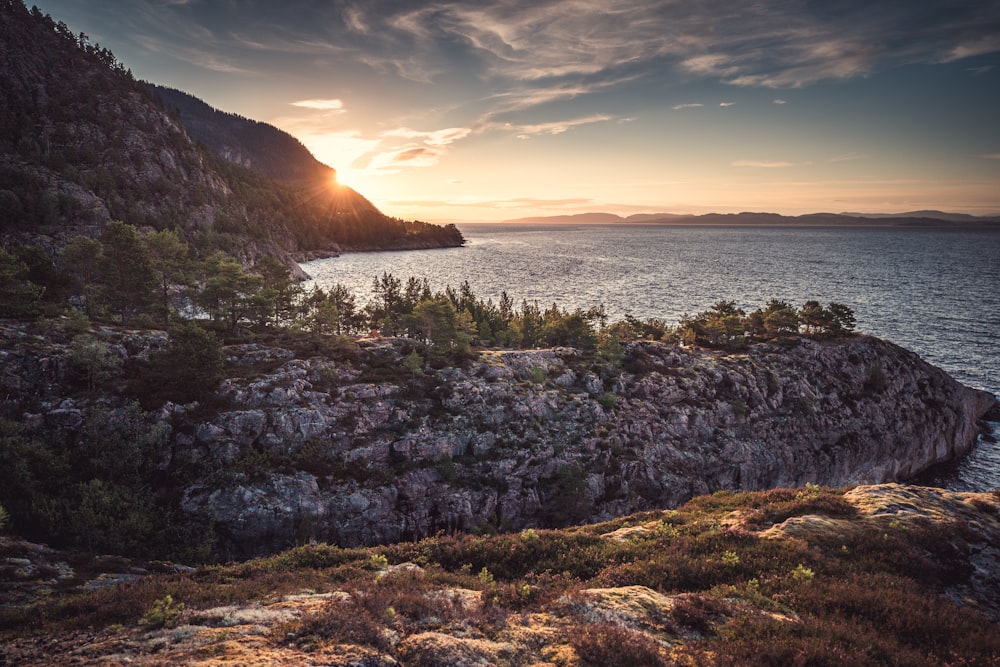 green grass on brown rocky shore during sunset