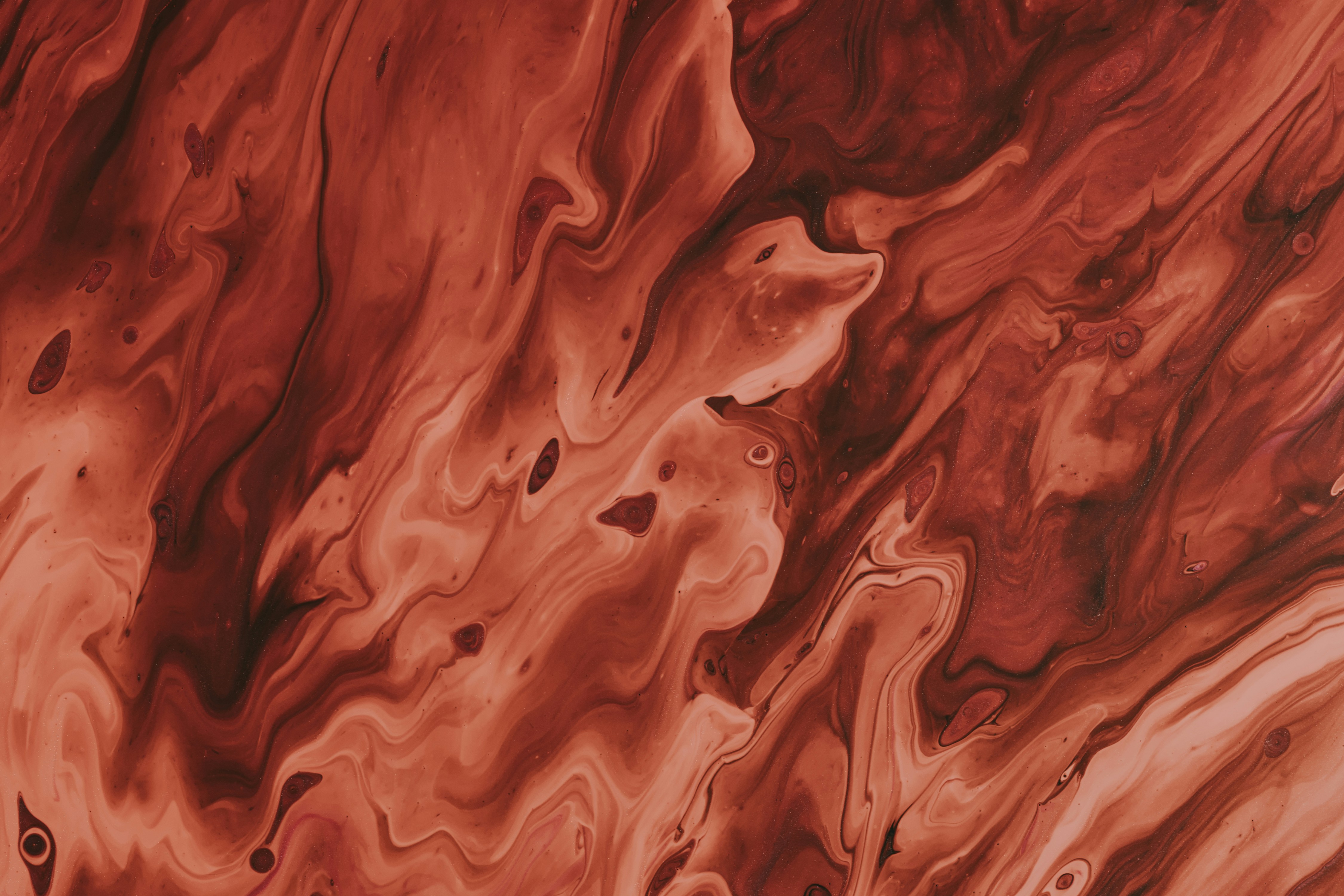 Photo by pawel_czerwinski