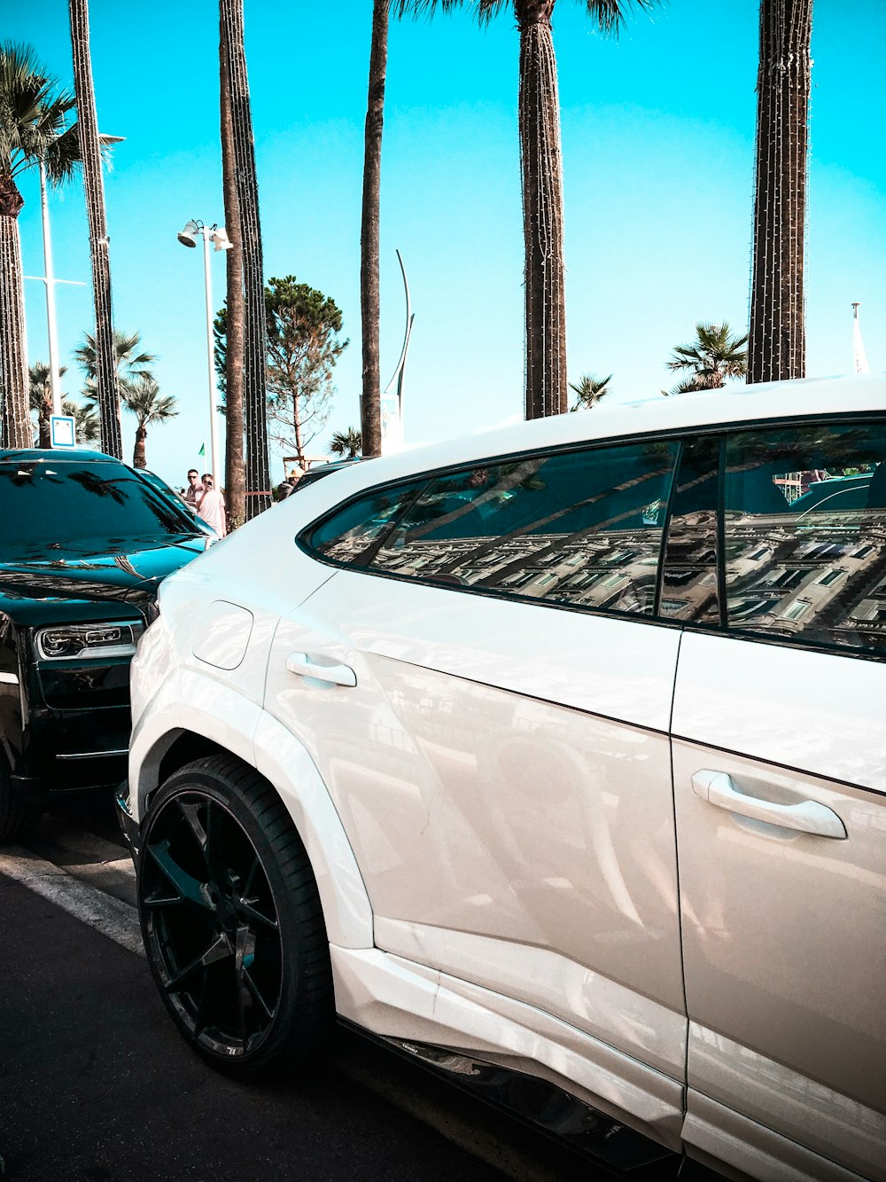 white car parked near black car during daytime