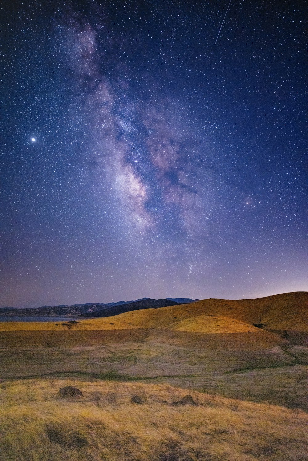 brown and green grass field under blue sky with stars during night time