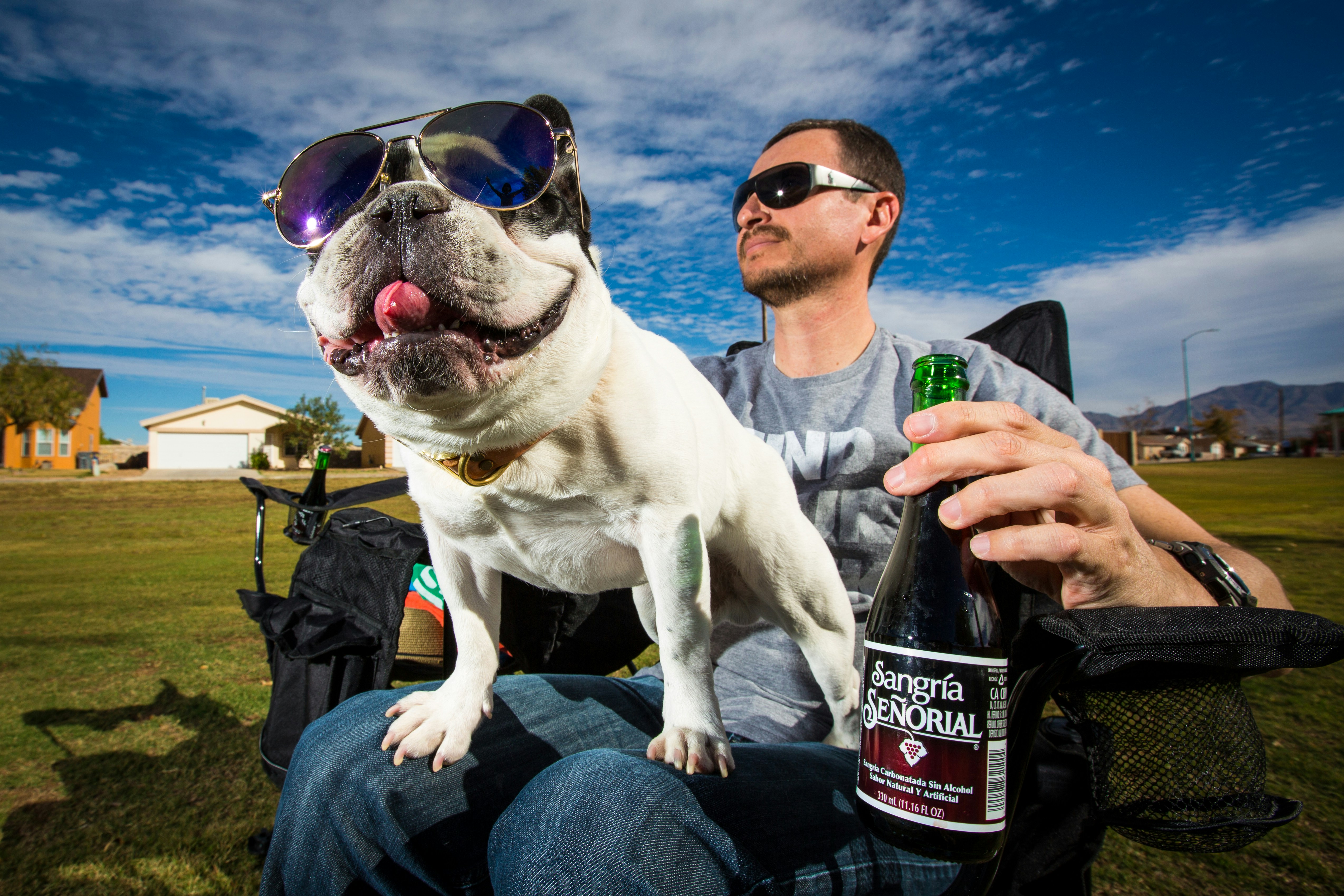 man in white shirt holding black bottle with white short coated dog