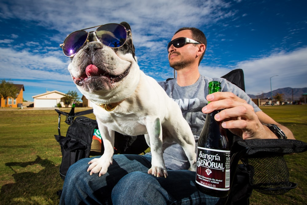 hombre con camisa blanca sosteniendo una botella negra con perro blanco de pelo corto