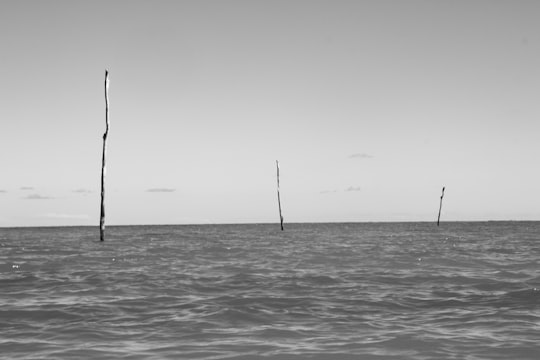 grayscale photo of fishing rod on sea in Maceió Brasil
