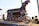 A group of young BMX riders wearing protective gear and helmets preparing to start a race on a BMX track. The front rider is poised on a ramp, ready to go. The scene is outdoors, captured during golden hour with a backdrop of a small building and a clear blue sky.