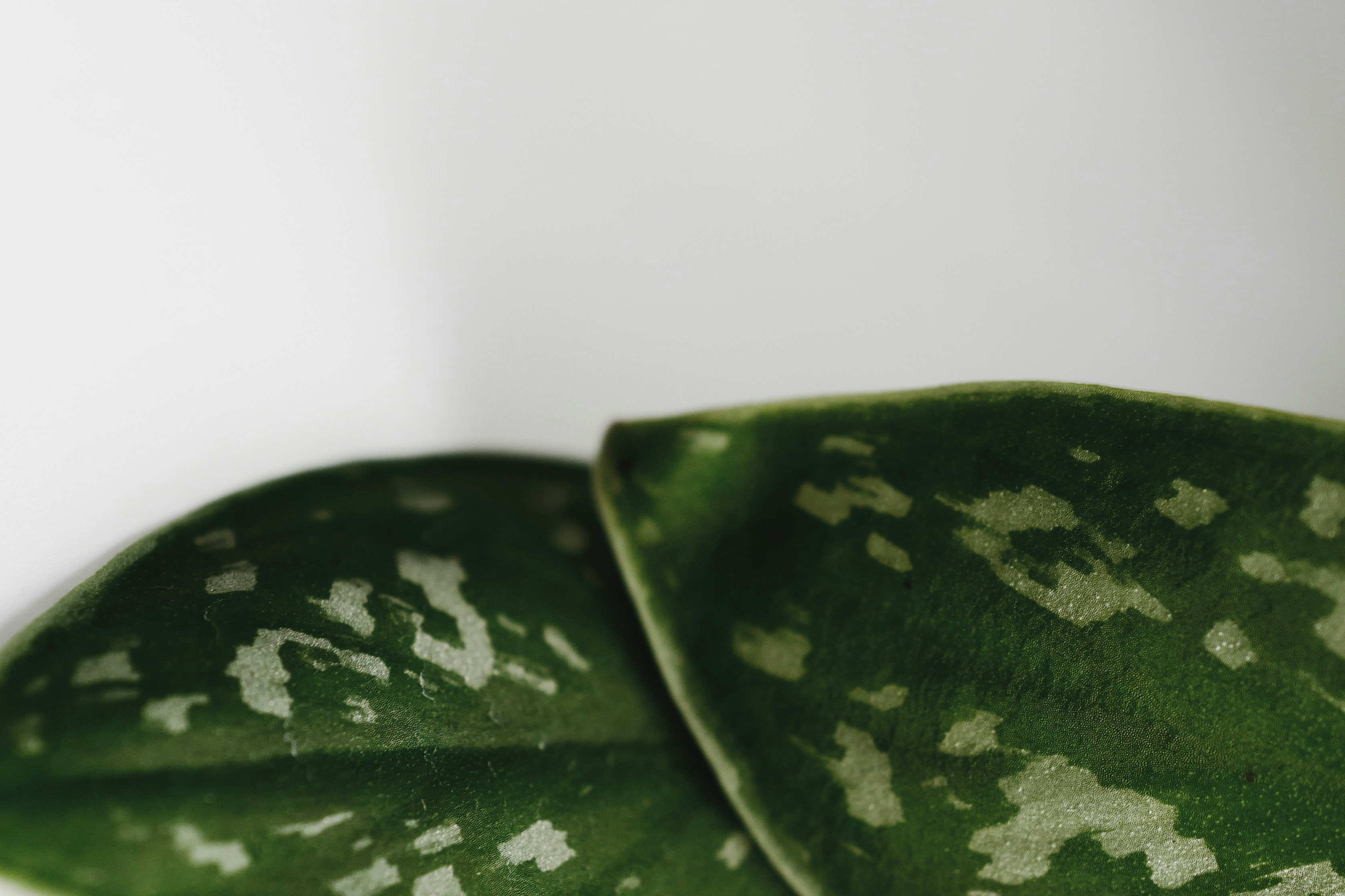 Photo by kekekristen