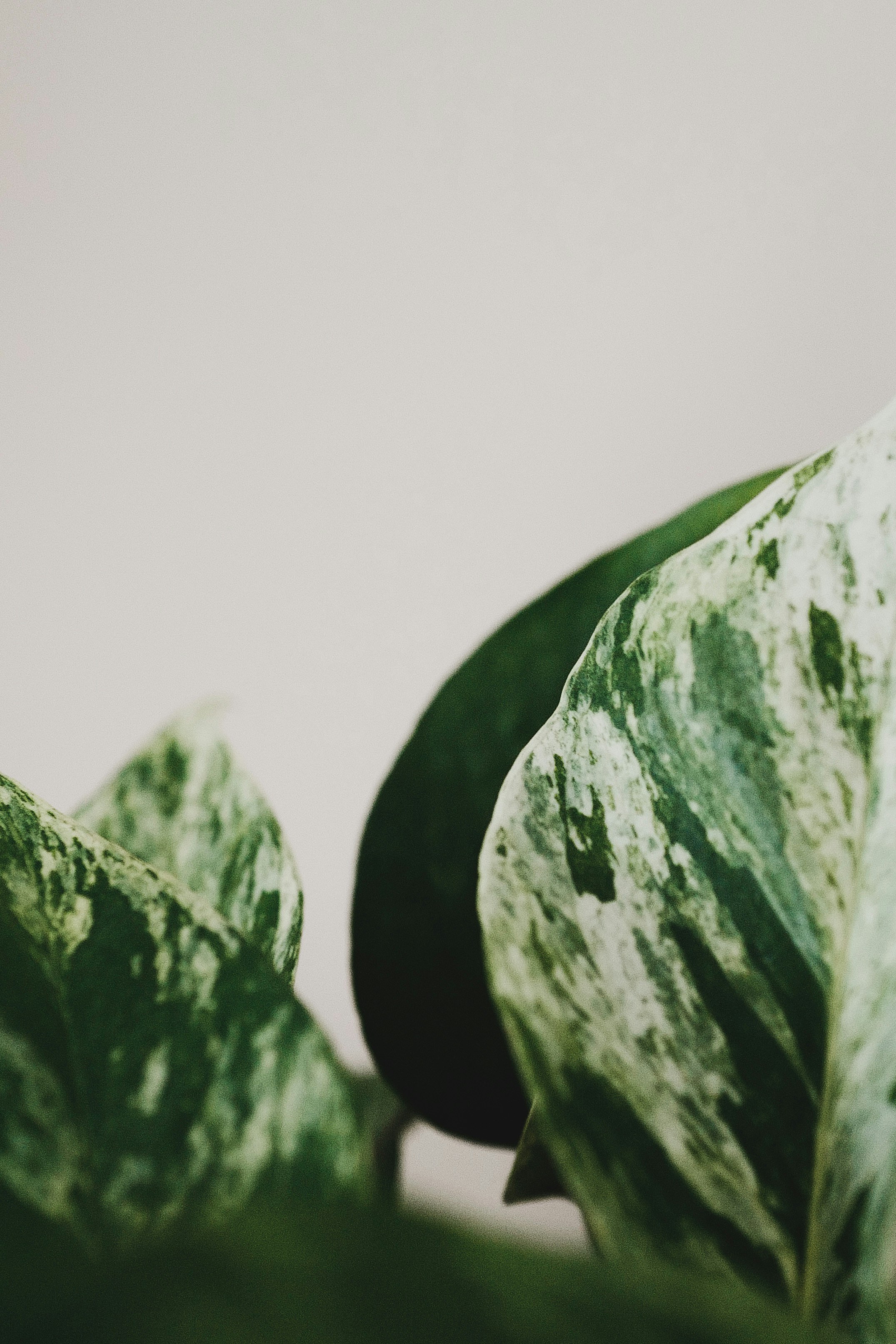 Photo by kekekristen