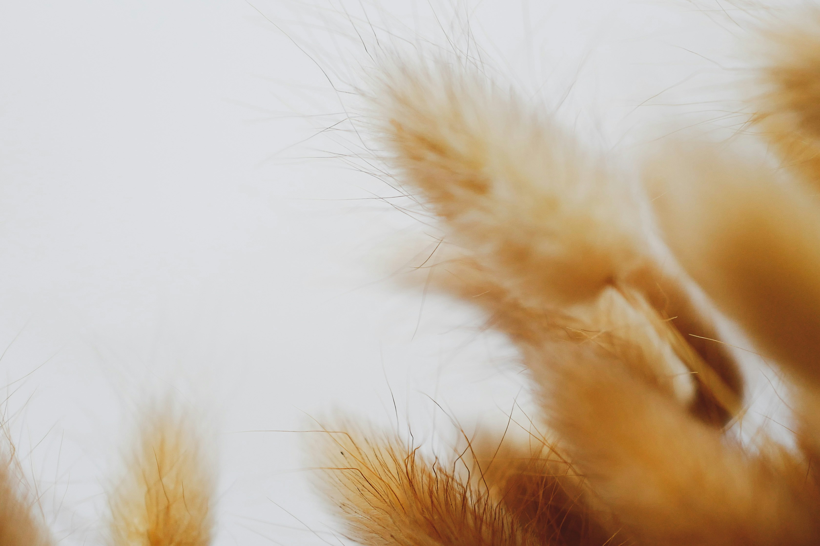 Photo by kekekristen