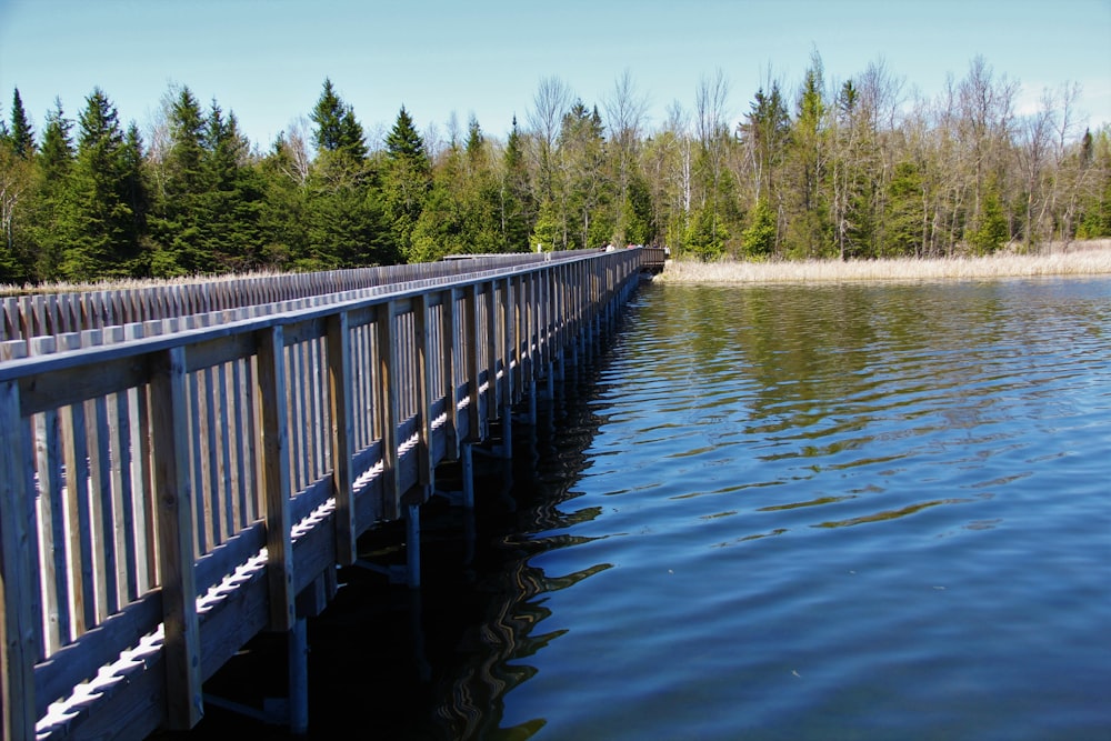 brown wooden dock on lake during daytime