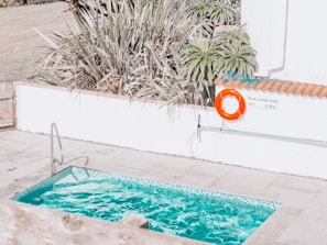 A small swimming pool with clear blue water is surrounded by a tiled patio. There is a pool ladder on one side and a vivid orange life ring hanging on the wall nearby, next to a sign indicating the shallow end as 3ft or 0.9m deep. Tall, spiky plants frame the area, adding a touch of greenery.