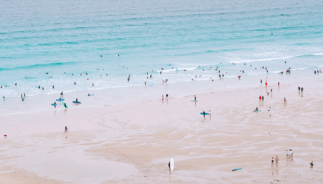 people on beach during daytime