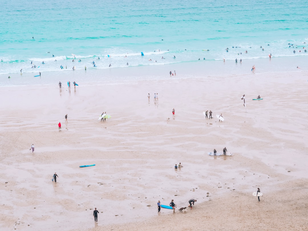 people on beach during daytime