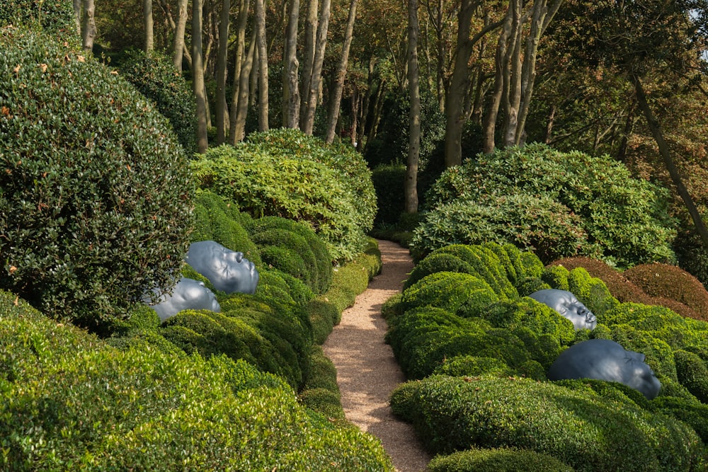 piante verdi su sentiero in mattoni marroni