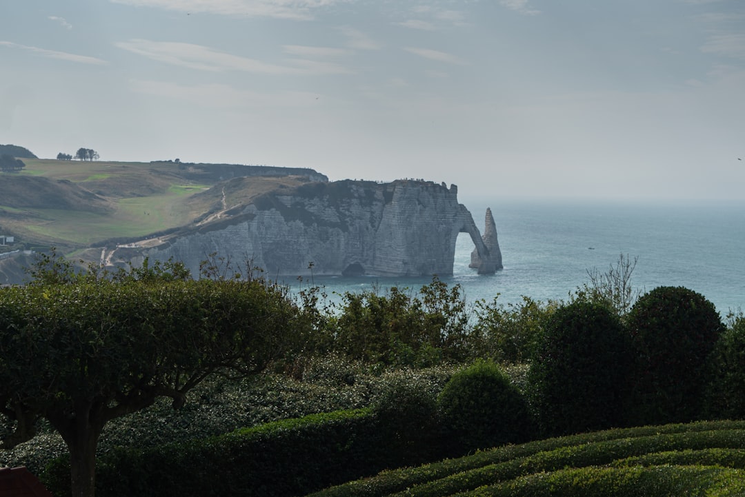 Cliff photo spot Les Jardins d'Étretat Deauville