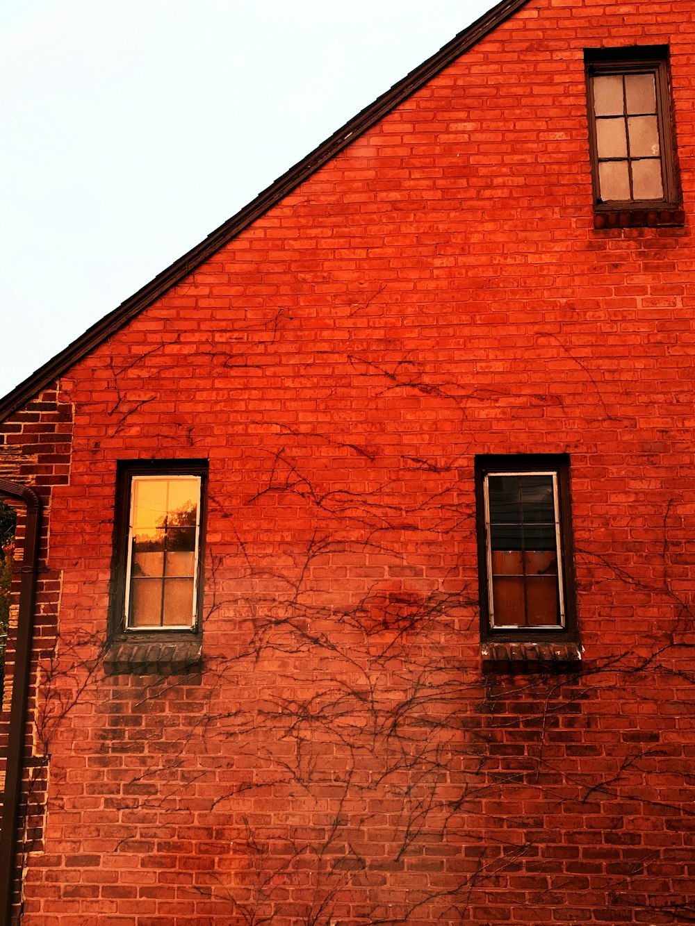 brown brick building with glass window