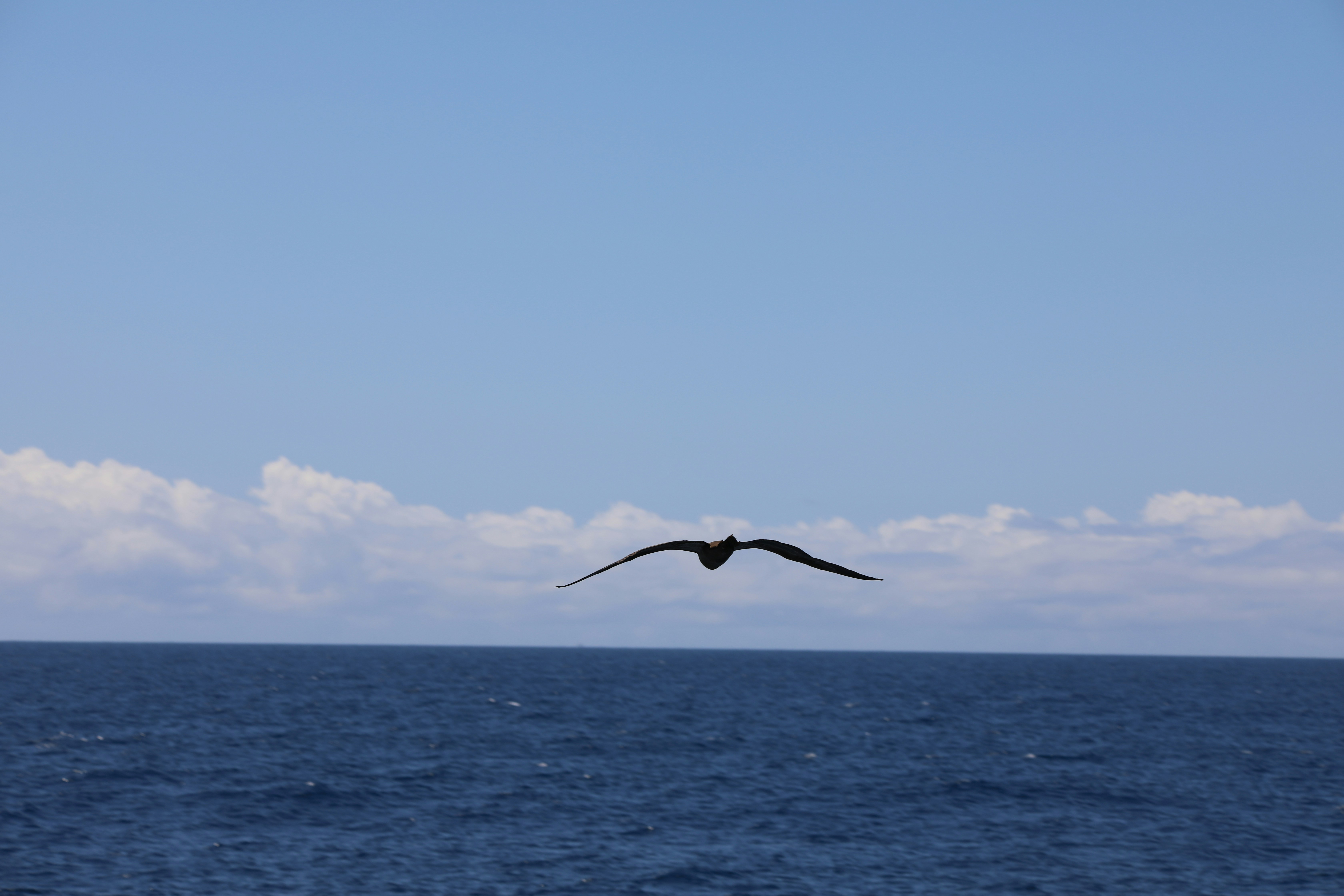 Photo by marcusdallcol