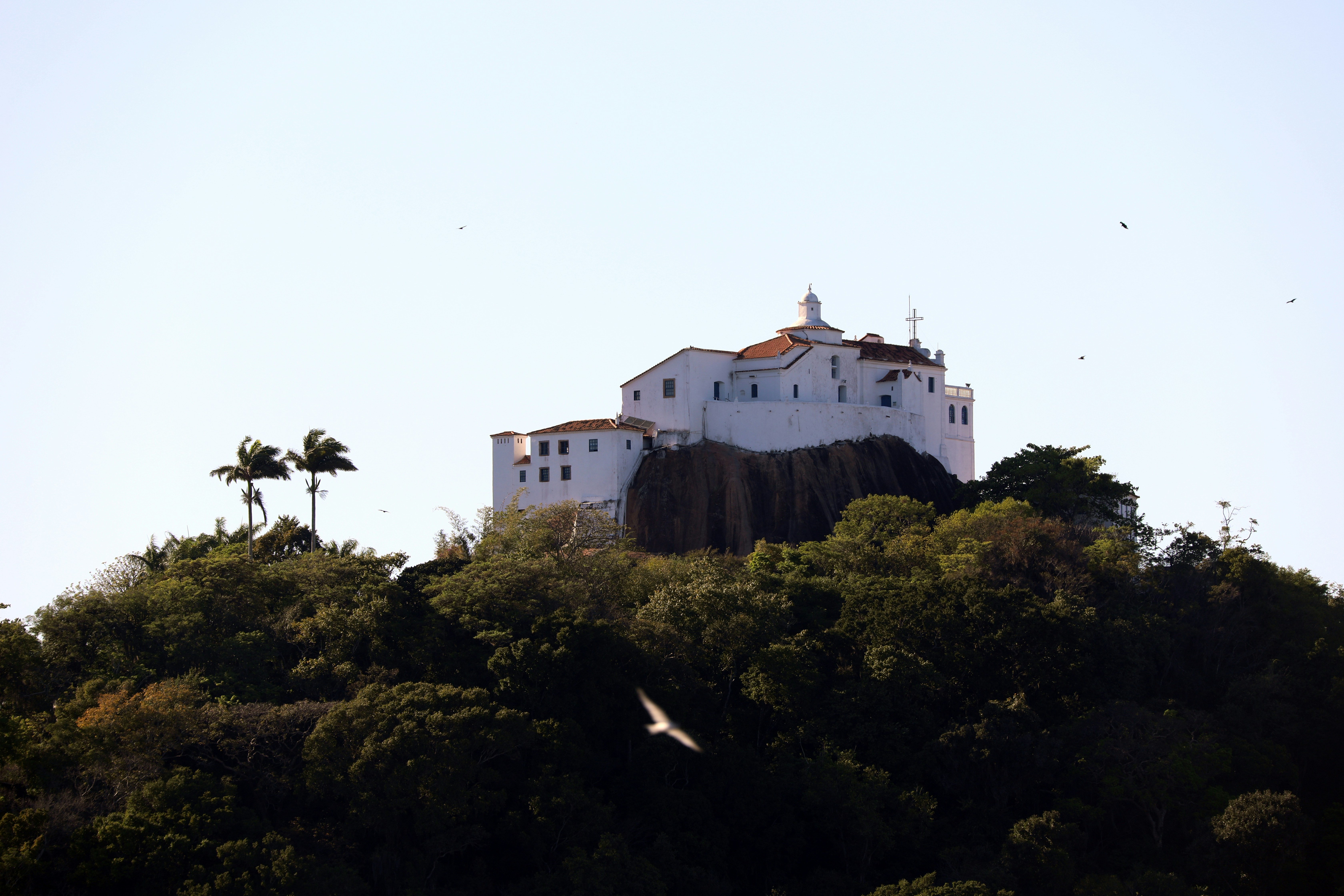 Photo by marcusdallcol