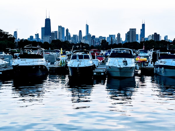 Montrose Harbor Food Delivery