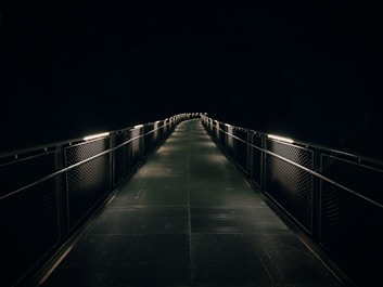 brown wooden bridge with light during night time